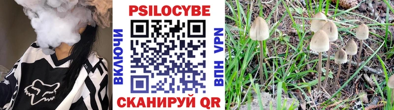Псилоцибиновые грибы мухоморы  Верхнеуральск 